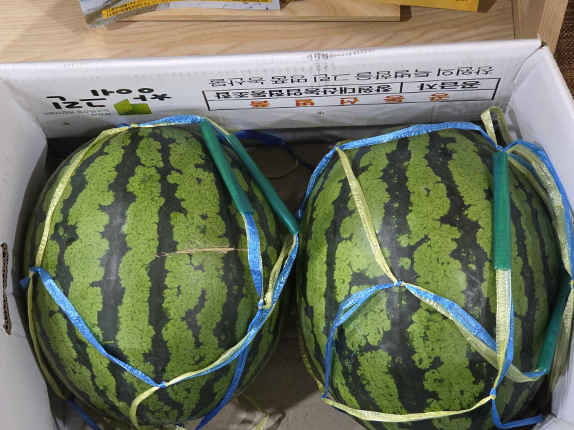 20260622171634_374a5aaf8acad77a6419ad563d70ffce_5qvf.jpg